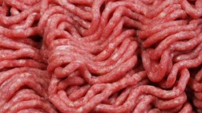 Pink Slime on Tainted Food  Meat Joins Deadly Cantaloupe On Recall List    Fox News
